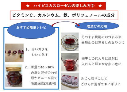 塩ローゼル自然農育ちのハイビスカスローゼル 宮崎県三股町産 風味豊かなハーブの塩漬け 栽培期間中農薬不使用 ビタミンC カルシウム 鉄 ポリフェノール