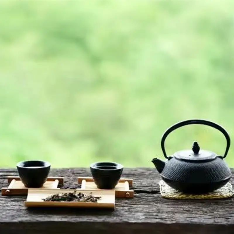 【定期便6回】八女茶　煎茶セット　100g×2袋【八女茶 お茶 茶 煎茶 セット 福岡 筑前町 ふるさと納税 送料無料 おすすめ ギフト プレゼント FL175】【価格改定】