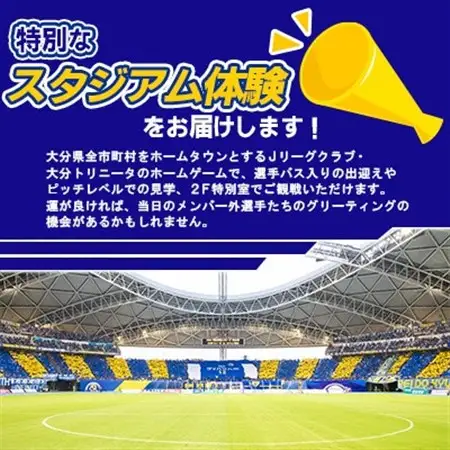 大分トリニータ　ホームゲームツアー＆プレミアム観戦体験(1名)(日出町)_旅行券・チケット   _【1613320】