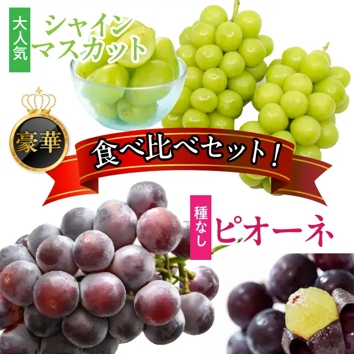 【2027年(令和9年)発送先行予約】来年発送！！シャインマスカットとピオーネ 約1.2kg(各1房) 秀品  ALPAA053