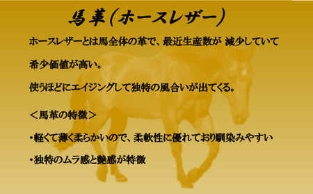 カジュアルシューズ 馬革 ネイビー カジュアルシューズ 27.0cm