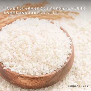 令和6年産 お米 コシヒカリ こと美山米 10kg 米 お米