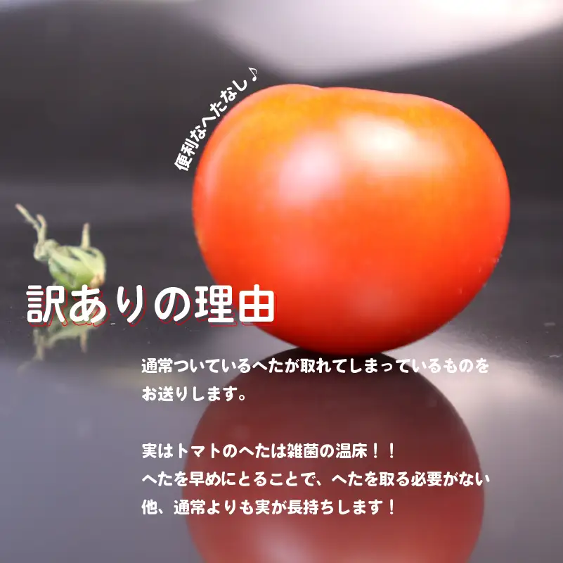 【訳あり】トマト 2kg 中玉 マキノハニー 枝完熟  静岡県 牧之原市 トマトップ