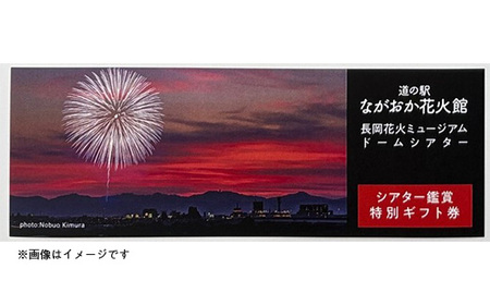 H8-03A【長岡花火】ドームシアター鑑賞ギフト券×8名様