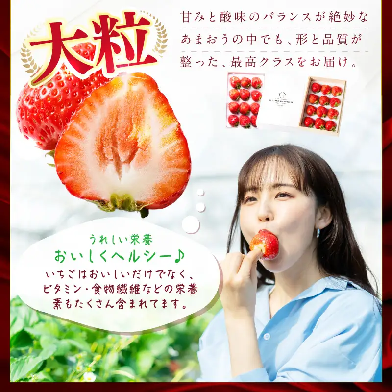 【2027年先行予約】桐箱入りプレミアムEXあまおう【044-0078】