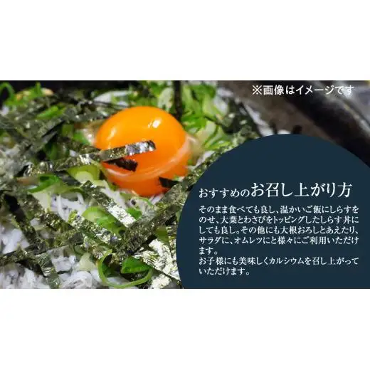 大津港水揚げ しらす干し 1.5kg (500g×3パック) (茨城県共通返礼品：北茨城市)