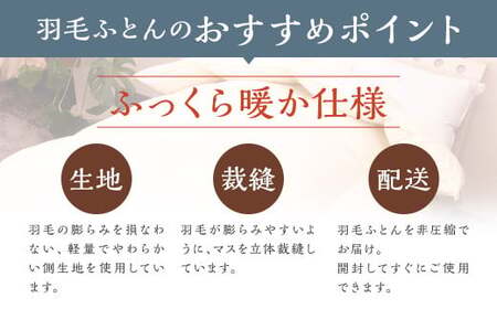 訳あり 節電対策 洗える羽毛ふとん 羽毛ふとん 羽毛布団 増量タイプ 本掛け 充填量1.2kg ダウン85%抗菌・防臭ダウン使用 シングル 無地 アイボリー