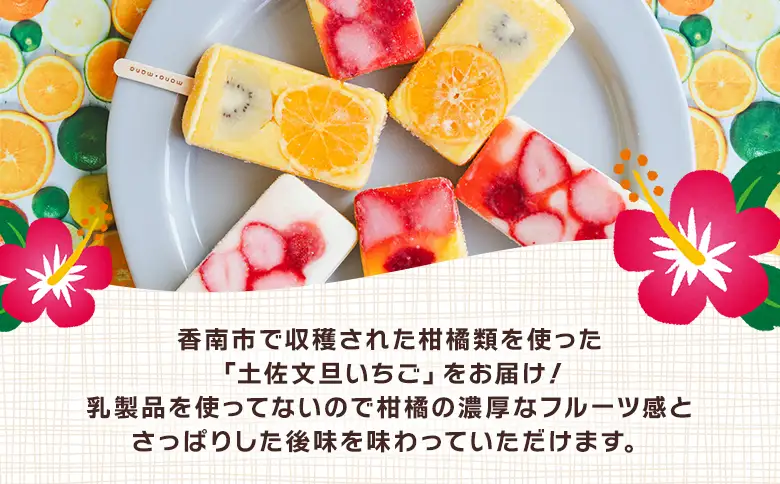 手作りアイスキャンディー 土佐文旦いちご ６本セット 【 アイスキャンディー  アイスキャンディー  アイスキャンディー  アイスキャンディー 】 ys-0019