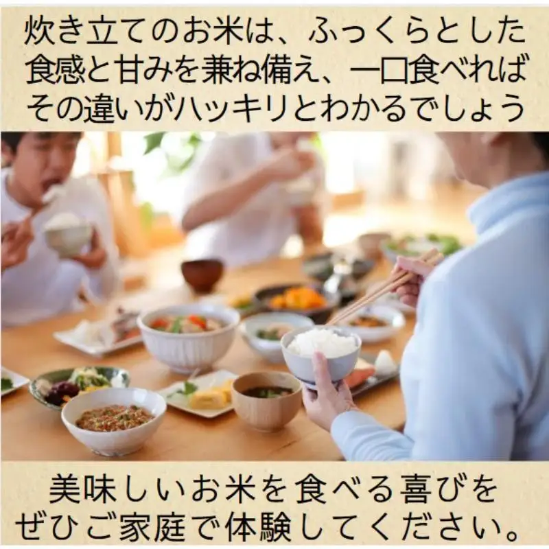 清里米遊 日本酒 コシヒカリ5kgセット 清里米遊 上越産