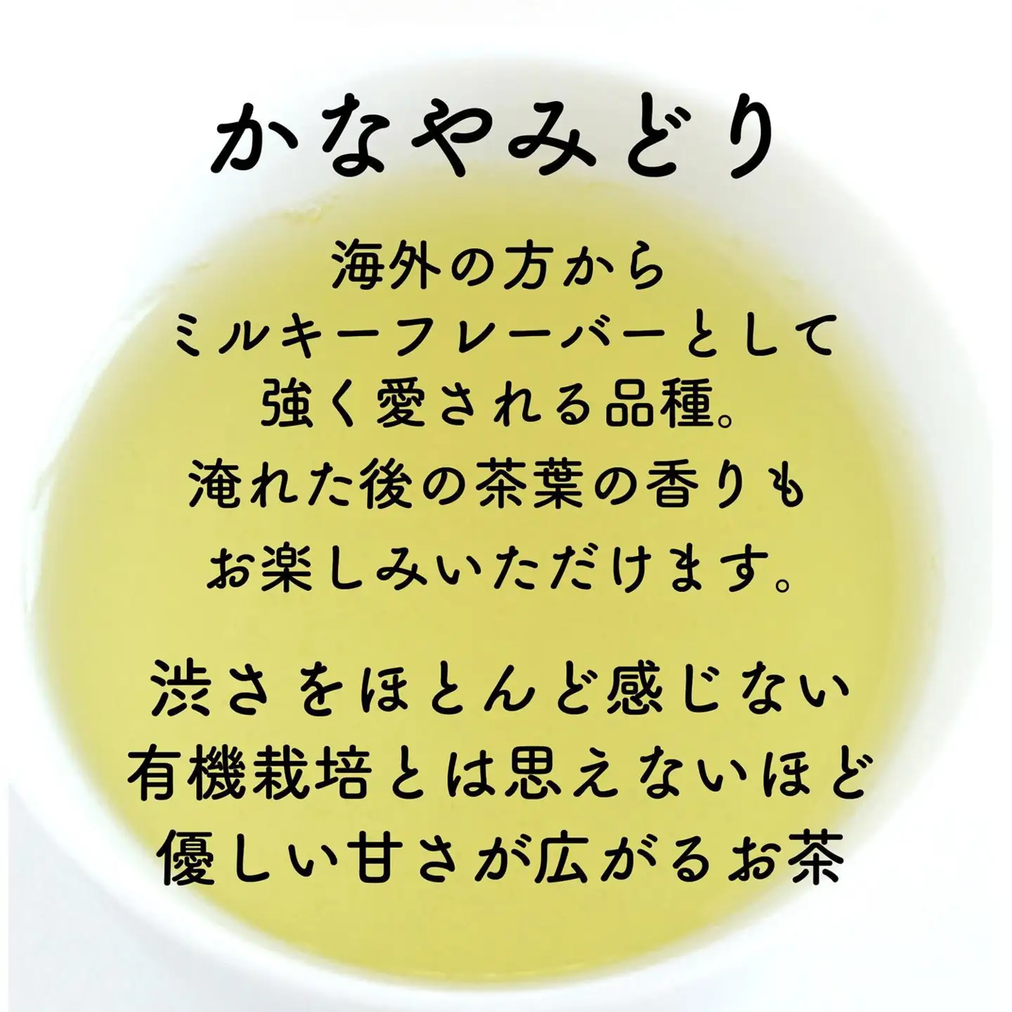 静岡市清水区の有機栽培品種茶2種セット かなやみどり100ｇ さやまかおり100ｇ 静岡茶 静岡県産