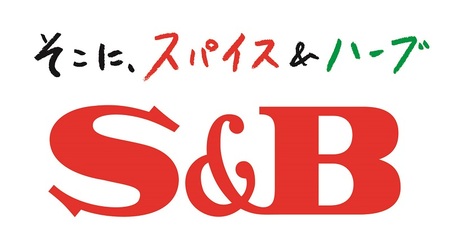 《S&B食品》欧風ビーフカレー　辛口　16食分 (a14-107)