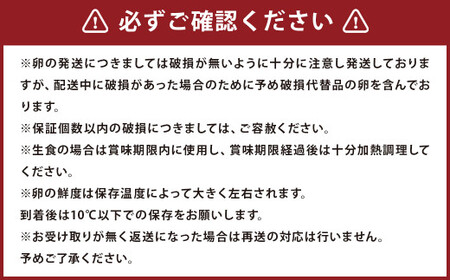 王様の大好物 たまご 40個 ( 35個＋破卵保障5個 ) 福岡県産 国産 にわとり 卵かけご飯 ゆでたまご