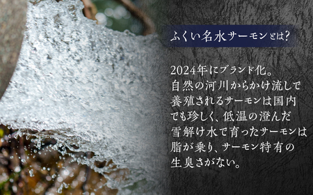 ふくい名水サーモン 切身 無塩 サーモン 鮭 