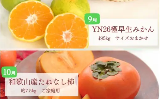 フルーツ 定期便 【全6回】/ 桃 ピオーネ 極早生みかん たねなし柿 富有柿 有田みかん / 和歌山 甘い 果物 【tec-tkb001】
