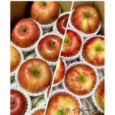 岩手県岩泉町産 りんご2品種(サンふじ・大夢)食べくらべ! 3キロ(約8個)_果物・フルーツ りんご  リンゴ 林檎_【1614543】