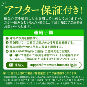 【2026年8月上旬～8月下旬頃配送】北海道十勝芽室町 とうもろこし ゴールドラッシュ 2Lサイズ 10本セット キャンプ飯 BBQ ソロキャン人気 トウモロコシ 生 野菜 北海道 十勝 芽室町 送料無料 お取り寄せme078-003c-26