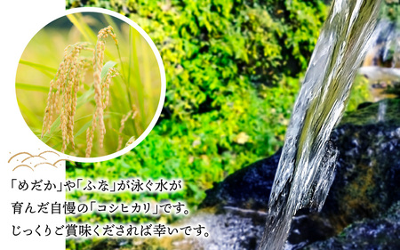 【先行予約】【令和7年産　新米】【6ヶ月定期便】和田の里米 10kg 6ヶ月連続【2025年10月より順次発送】
