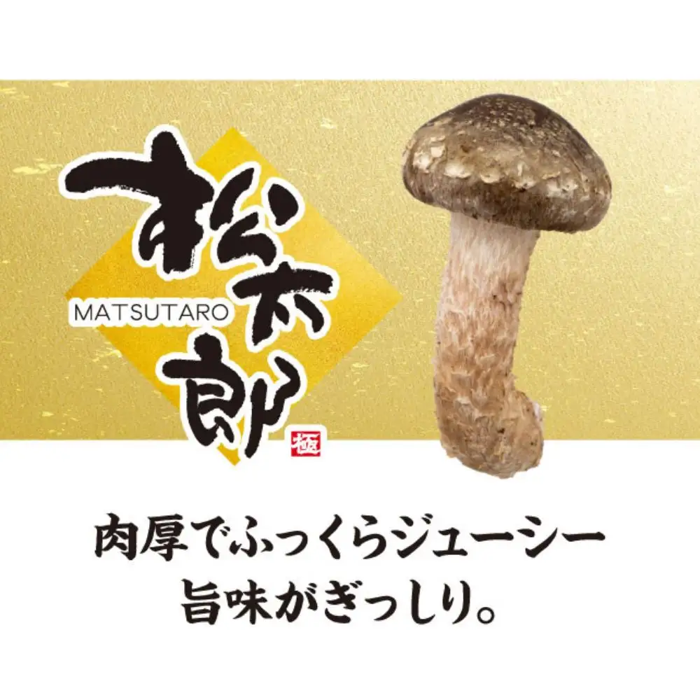 【新しいキノコ　伊勢の国「松太郎」】松太郎ギフト（生詰め合わせ）【夏季冷蔵便対応】