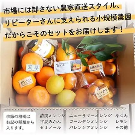 新茶と季節の柑橘詰め合わせ5種5kg! いろんな味が楽しめる農家直送みかんBox【先行受付】【1617064】
