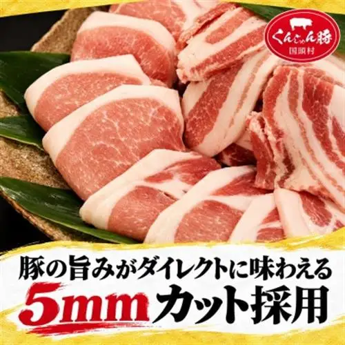 【毎月定期便】くんじゃん豚 焼肉セット(バラ・ロース)計19.2kg全6回【配送不可地域：離島】【4067079】