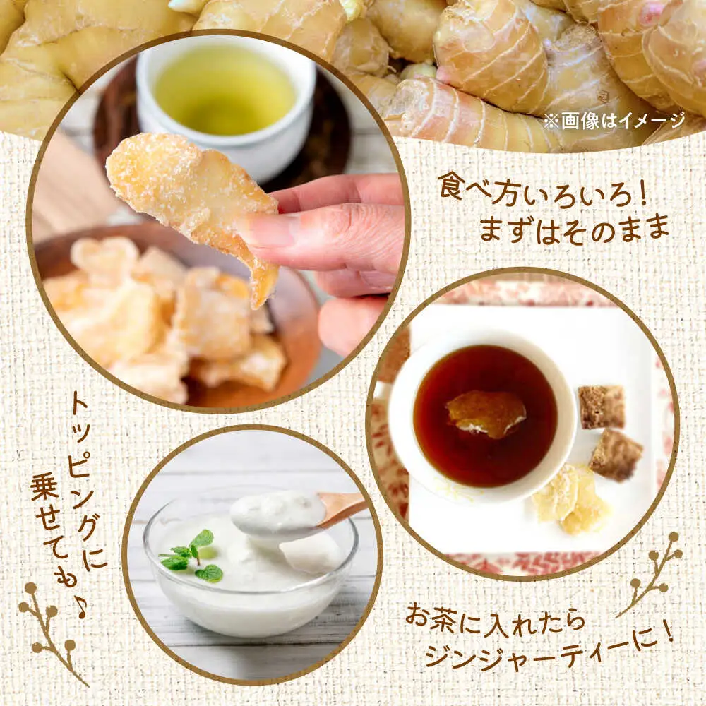 ほんきのしょうが糖 35g×20袋 しょうが[AYAD001]