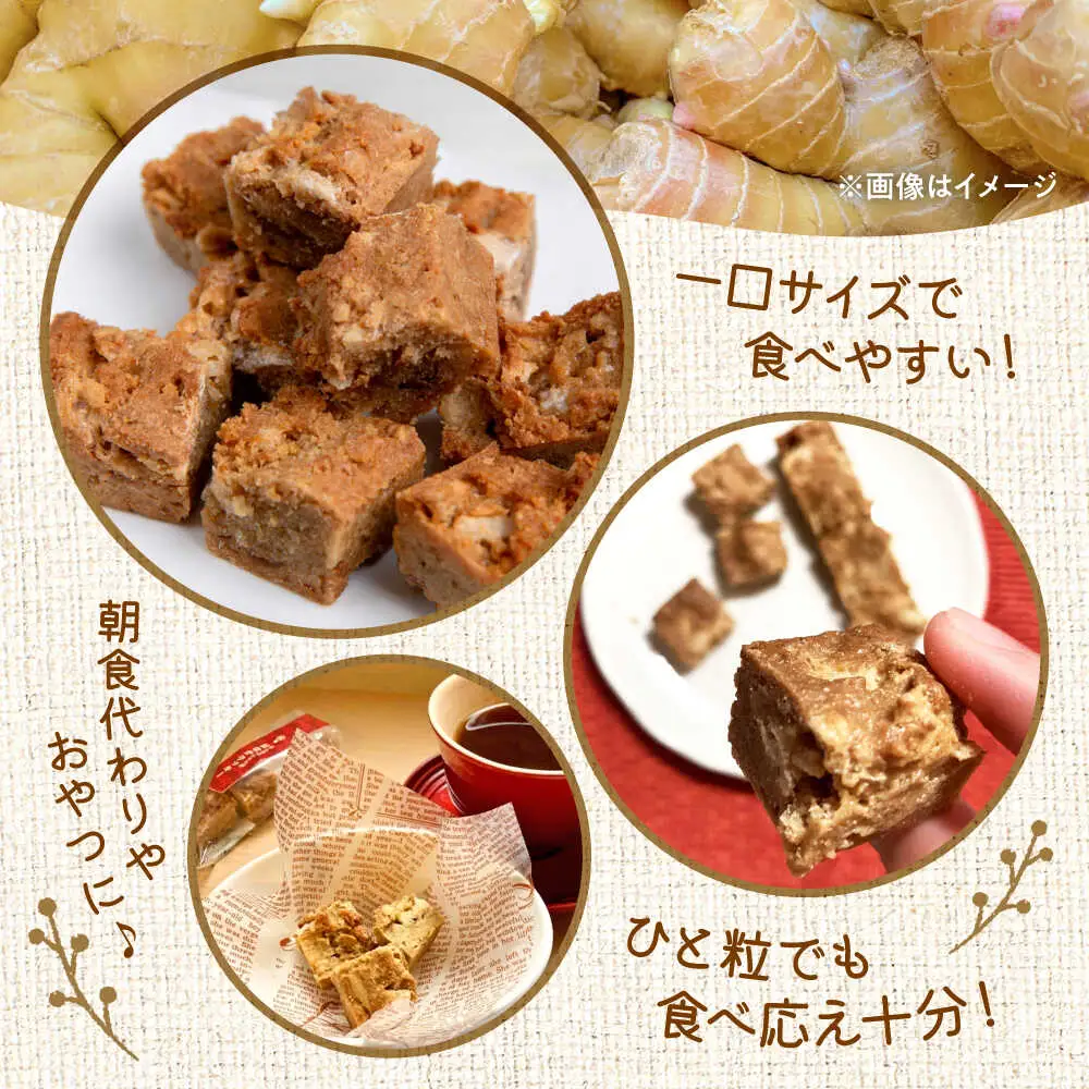 令和8年熊本地震復興支援 ほんきのしょうがおなかクッキー クッキー[AYAD005]