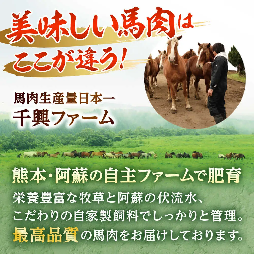 馬肉 ハンバーグ 約130g×16個 計約2.08kg 小分け セット ハンバーグ[AYAF029]