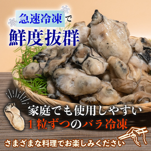 訳あり 牡蠣 むき身 加熱用 1kg 冷凍