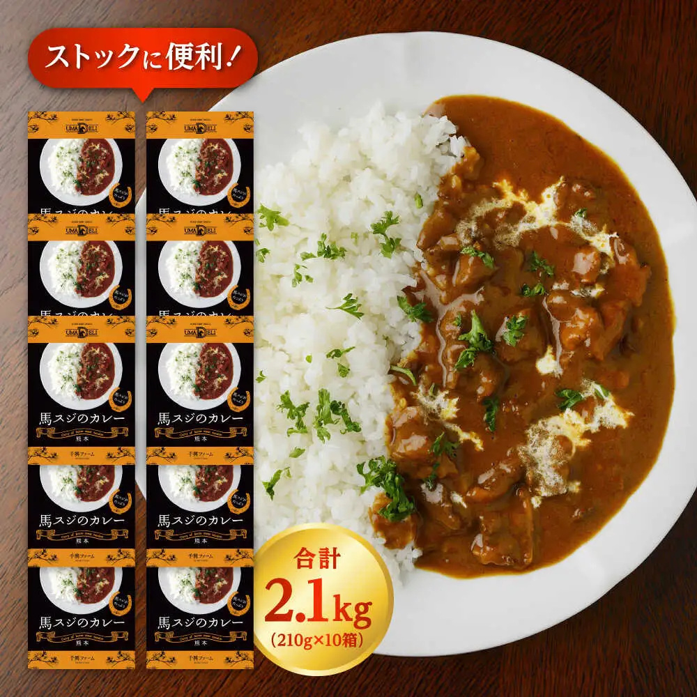 馬スジのカレー 10食 210g×10 計2.1kg カレー[AYAF027]