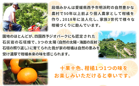＜愛媛県西予市産 温州みかん 家庭用 約3kg ＞ 果物 くだもの ミカン 柑橘 フルーツ 訳あり ワケアリ 旬 特産品 段畑みかん 愛媛県 西予市【常温】『2026年10月中旬～11月中旬迄に順次出荷予定』ADM0019