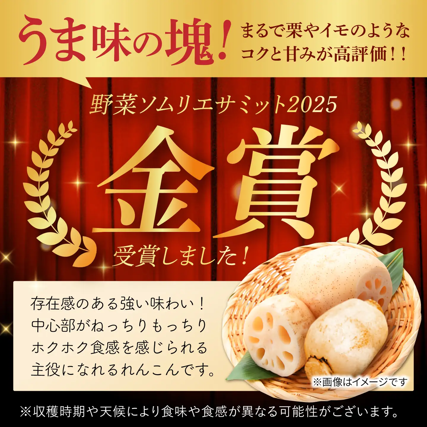 【年末発送】れんこん 約3kg れんこん IBD019