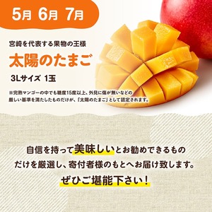 【3ヶ月定期便】【宮崎県産】選ばれし太陽のたまご定期便Vol.2 果物 マンゴー