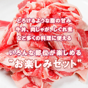 BN128_坂本ストアー佐賀牛お手頃セット（ステーキ・ハンバーグ・切り落とし）