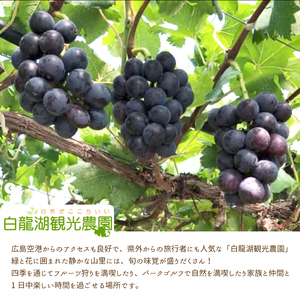 【先行受付】農園おまかせぶどうセット2房(約1.5kg)2026年9月下旬発送予定 果物 くだもの フルーツ ブドウ 葡萄 202007