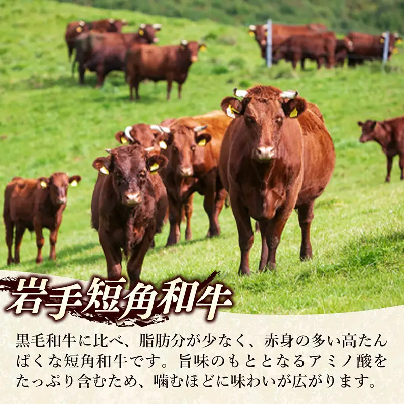 【岩手短角和牛】生ハム（純国産セシーナ）原木 1本 長期熟成！ つまみ 牛肉 お肉 冷蔵 岩手県 岩手町※沖縄県、離島への配送不可【価格改定】
