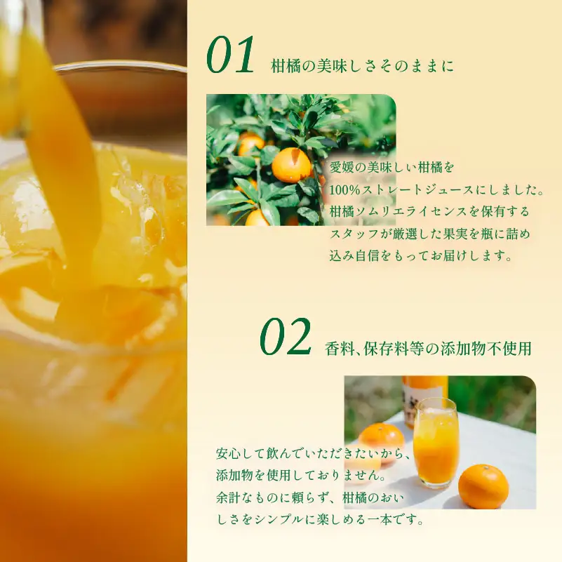 【ジュース】100％ 柑橘 ジュース 4本 家庭用 みかんジュース  【RNK018】
