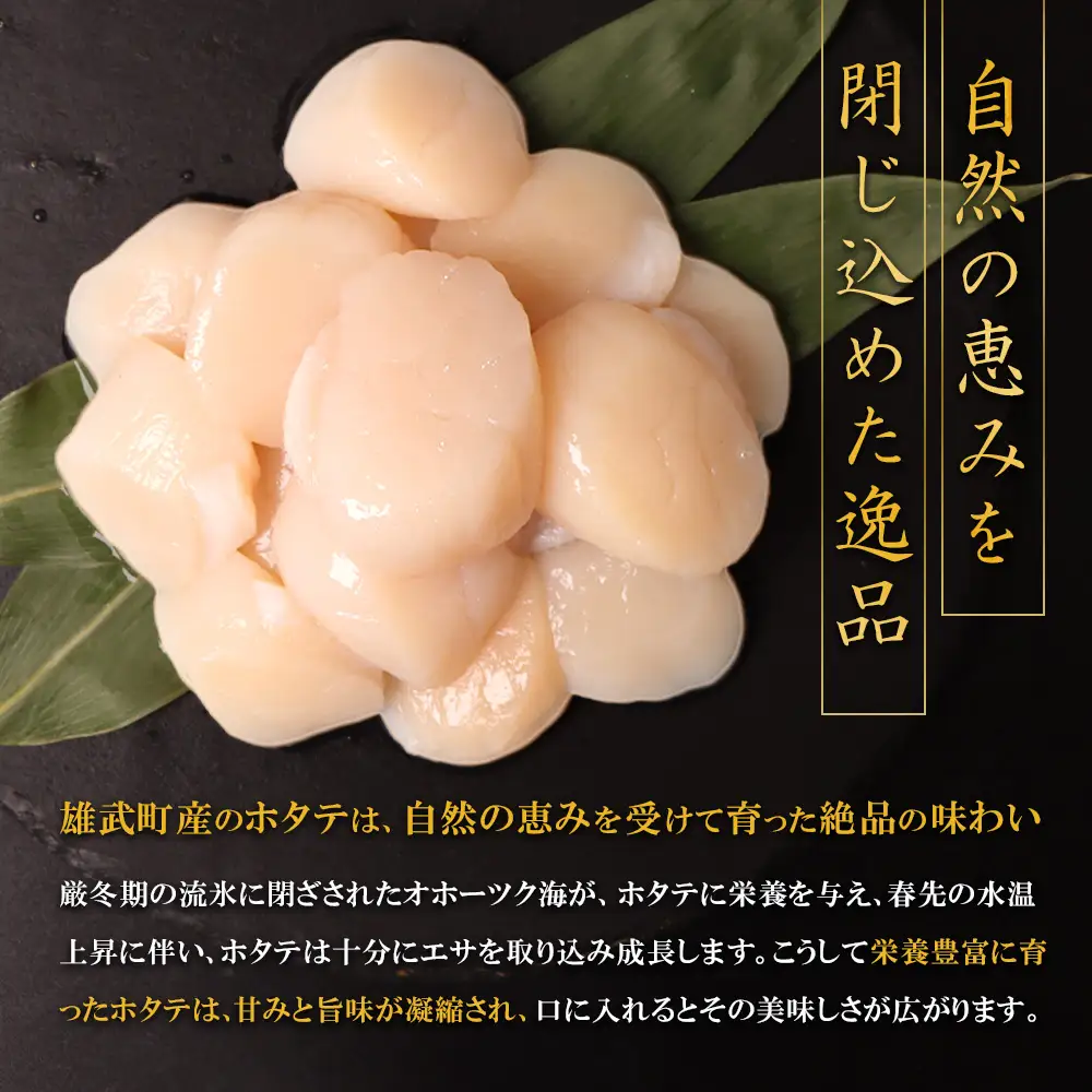 【ふるなびWEEK対象】北海道雄武町産ほたて貝柱 中小混合 200g×3 (冷凍) 使い切りパックFN-Limited-PR【0719501】