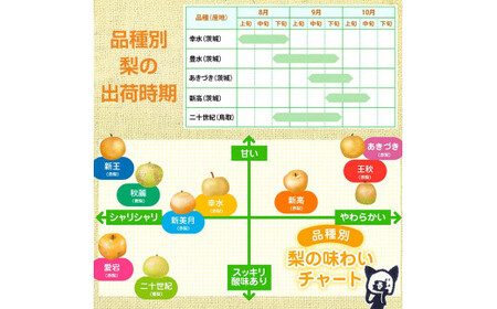 阿部農縁　福島県の和梨　品種おまかせ　旬のなし3kg(8～11玉)　ギフト・贈答用 F7X-0063