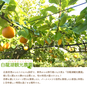 【先行受付】希少品種！秀玉 梨 5kg 2026年9月中旬発送予定 果物 くだもの フルーツ なし 202017