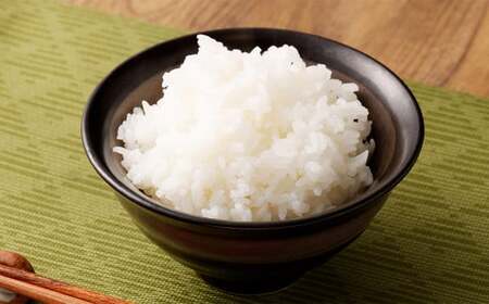 【6ヶ月定期便】 テーブルマーク 元気つくしパックごはん 150g×32食入り パック ご飯 ごはん 米 白米 定期便