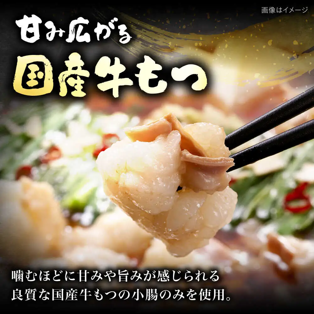 【牛もつ2倍！】【ご家庭用】博多もつ鍋（醤油味）3人前 [VEC010]