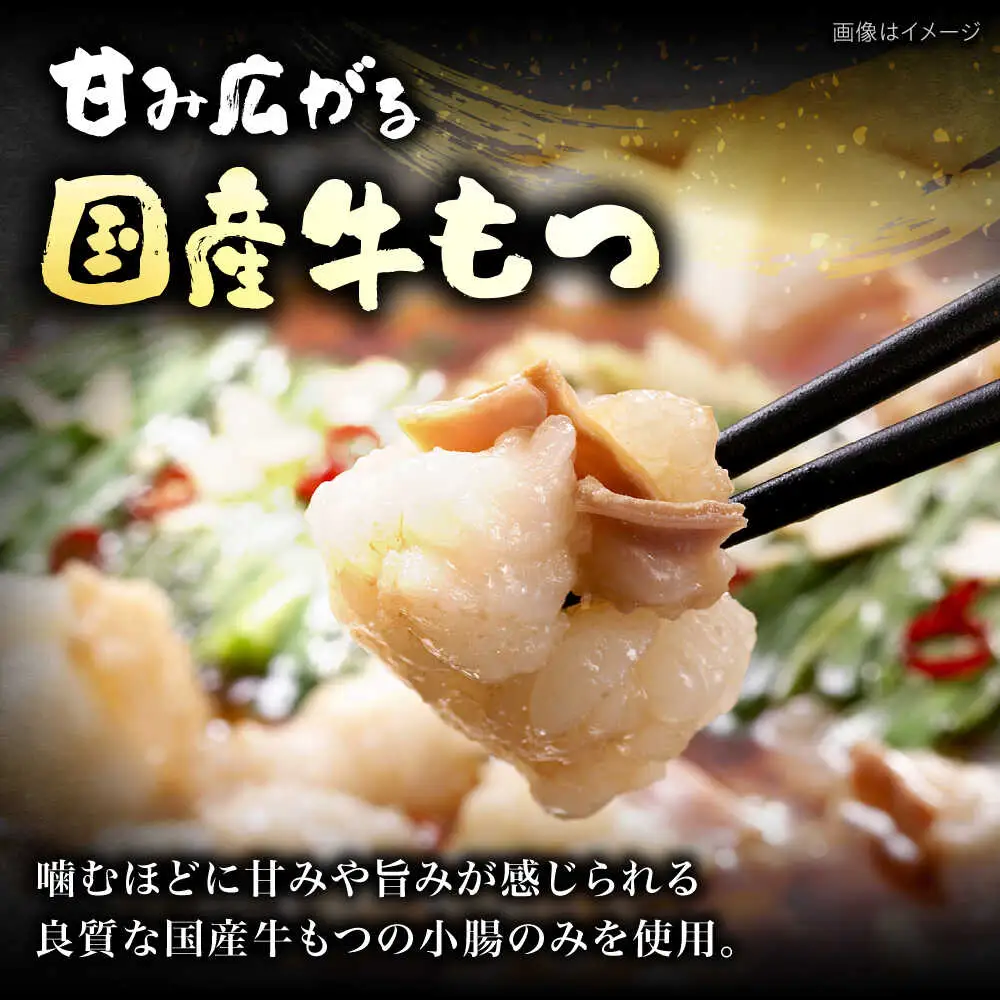 【ご家庭用】博多もつ鍋（味噌味）3人前 [VEC014]