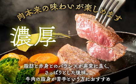 亀岡牛 モモ ステーキ 400g (100g×4枚)ステーキ