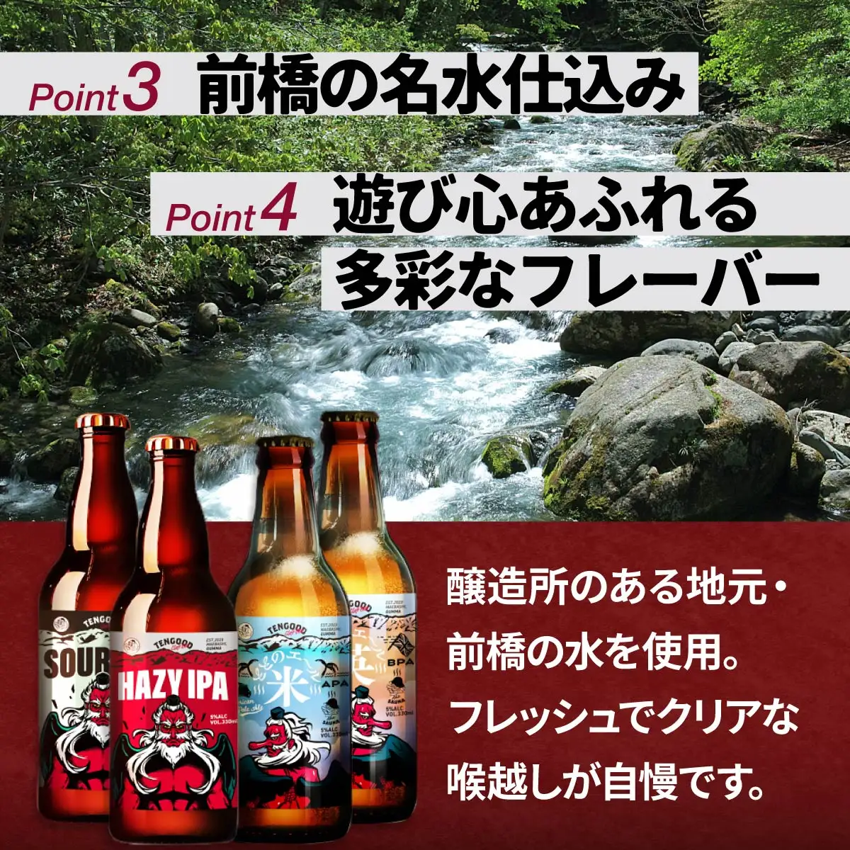ビール テングビール HAZY IPA 6本