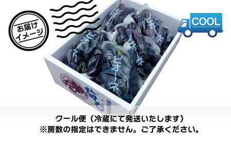 ぶどう ピオーネ 2kg ぶどう