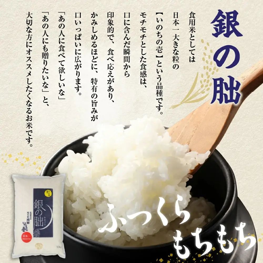 ＜テレビで紹介されました！＞令和8年産 新米【全6回定期便】皇室献上米『銀の朏』3kg 中津川市加子母産 栽培期間中化学肥料不使用 お米 精米 F4N-2890