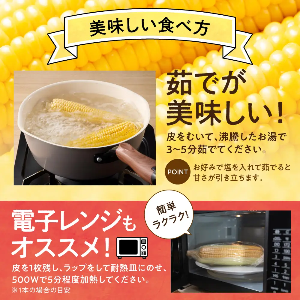 【2026年先行予約】照之家商店 鮮度抜群とうもろこし10本 味来 北海道産 当別町