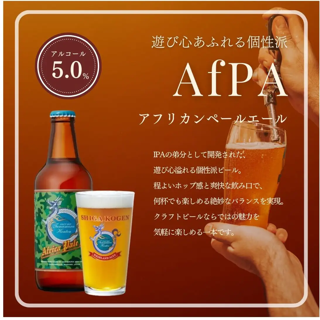 クラフトビール 志賀高原ビール 12本 玉村本店 クラフトビール