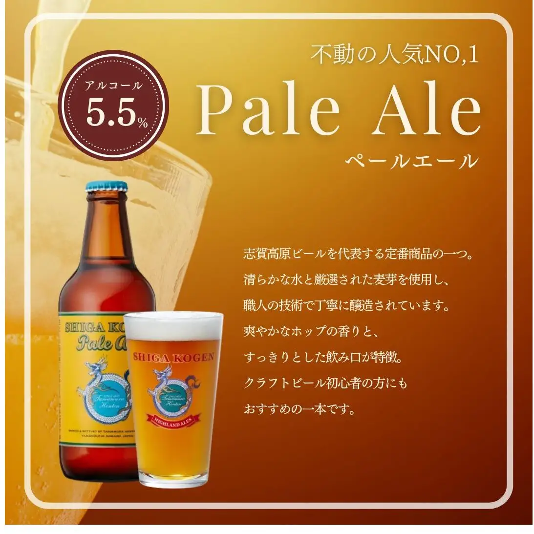 クラフトビール 志賀高原ビール 24本 玉村本店 クラフトビール