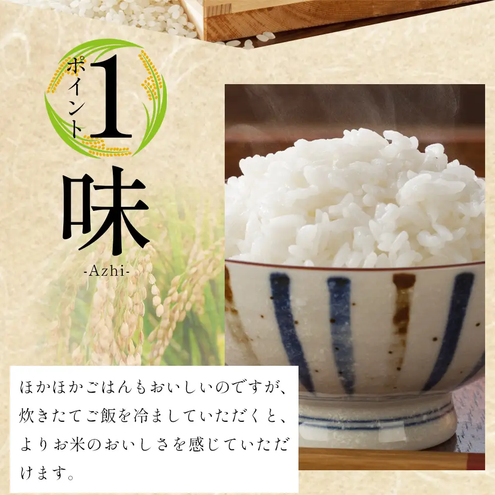 コシヒカリ 2kg 令和8年産新米 新米 コシヒカリ 精米 at-0055